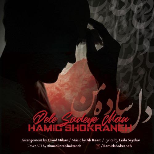 دانلود آهنگ دل ساده ی من